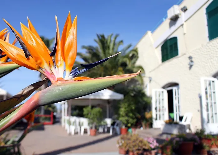 Albergo Ristorante Lucciola