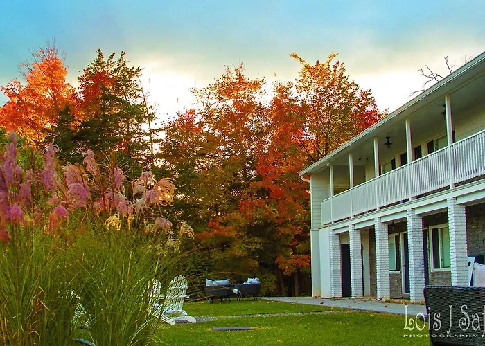 Hotel Dylan