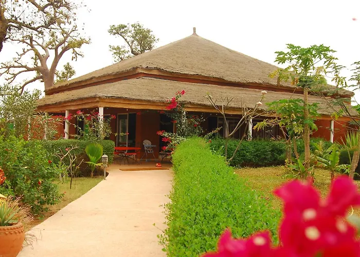 Baobab Soleil