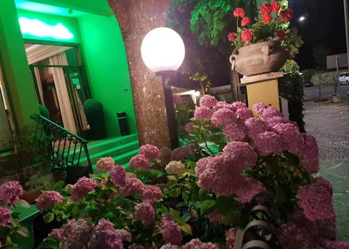 Hotel Delle Ortensie