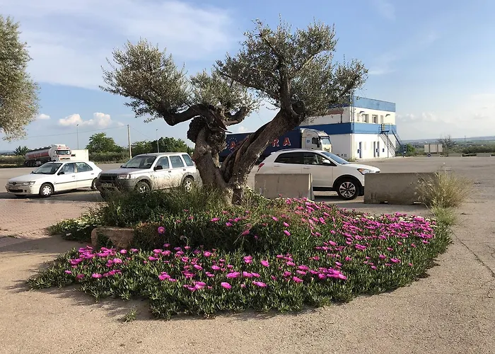 Hotel Restaurant Casa Miquel