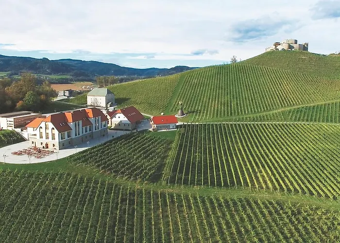 Weingut Taggenbrunn