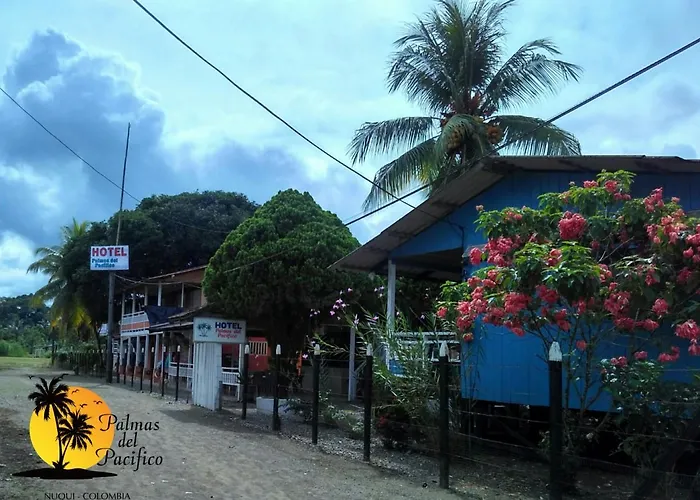 Hotel Palmas del Pacifico