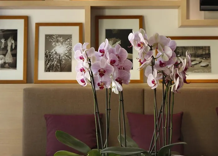 Kur und Wellnesshaus Spreebalance, The Originals Relais (Relais du Silence)