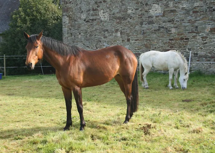 Chateau de Canisy