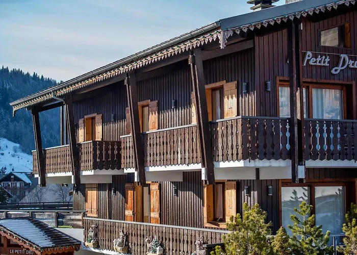 Hotel Le Petit Dru