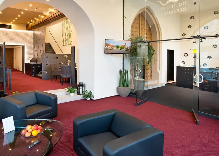 Hotel U Hada Zatec