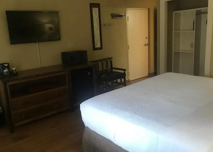 The Appy Lodge