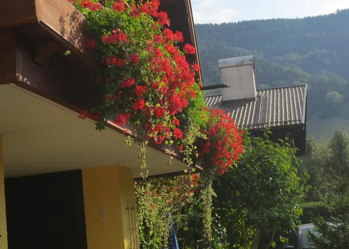 Hotel Alp Inn - Chiemgaukarte Inclusive