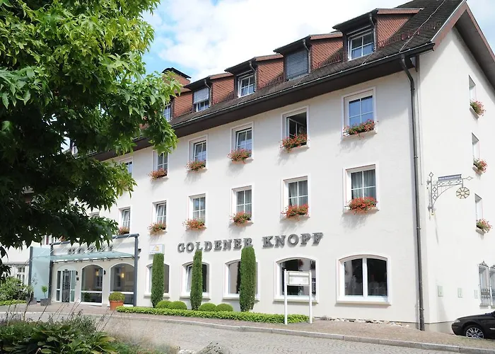Hotel Goldener Knopf