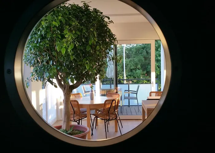 Haus Achtern Diek In Erster Reihe Am Meer