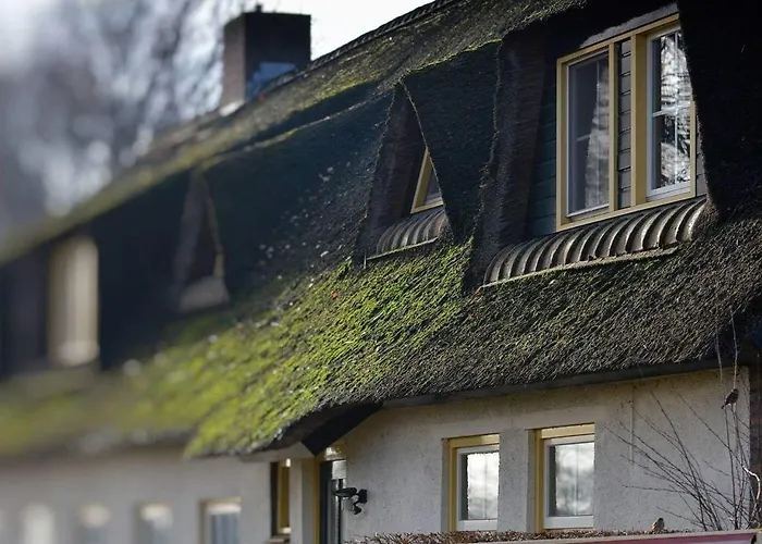 B&B-Hotel de Joremeinshoeve