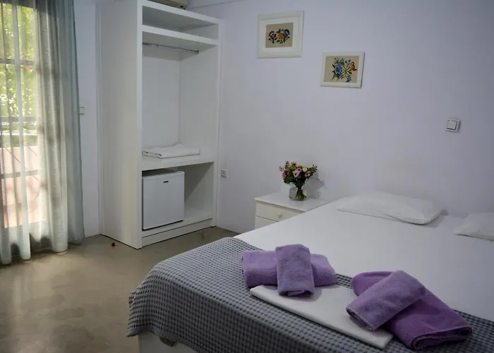 Hotel Theopisti