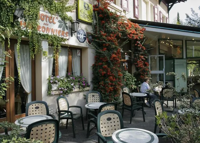 Hotel Les Marronniers