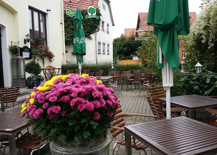 Hotel-Landgasthof Gruener Baum - Dittigheim