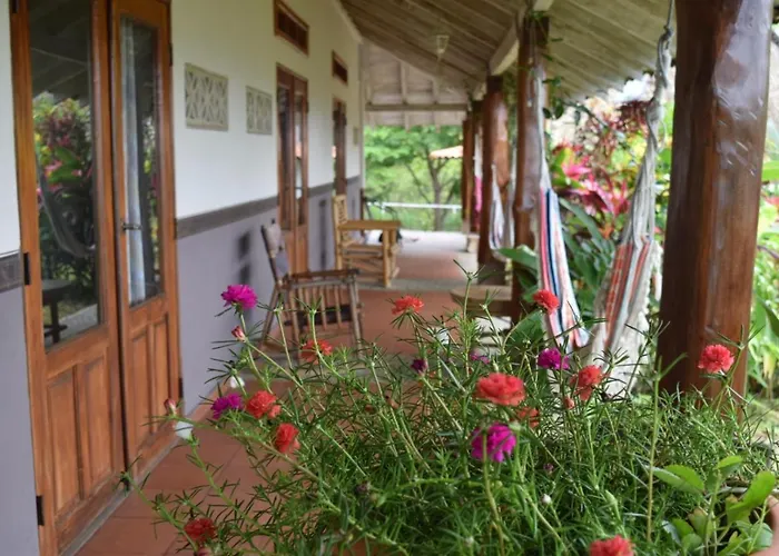 Hotel Kambutaleko