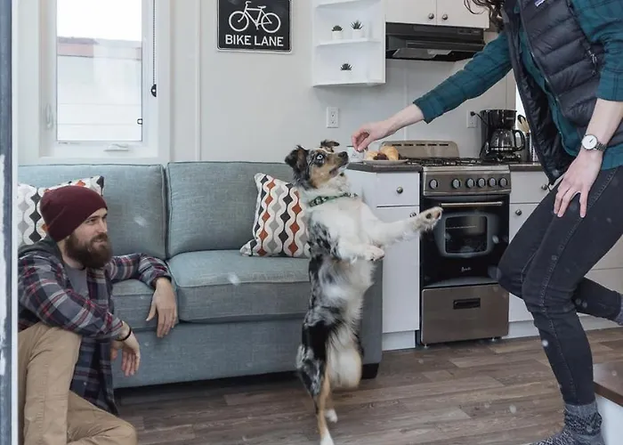 Tiny Homes By Snow Valley Lodging
