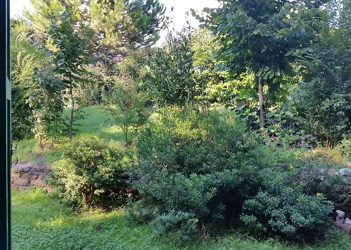 Hotel Villa Maria Luigia