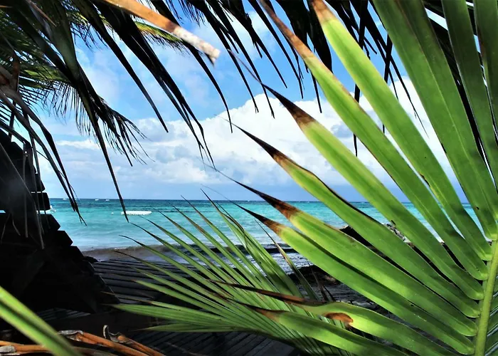 Little Corn Island Beach And Bungalow