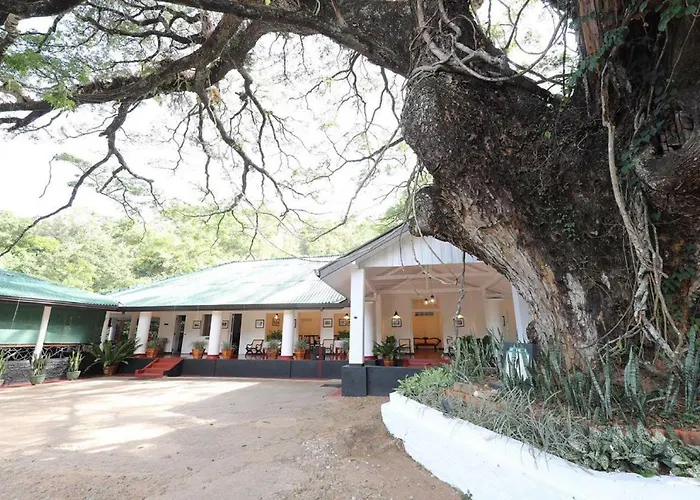 Ekho Belihuloya - Newly Renovated Riverside Retreat