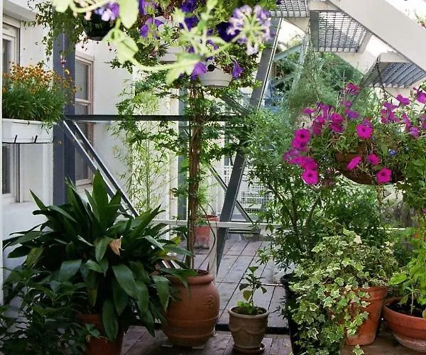 Loft De Cannes B&B