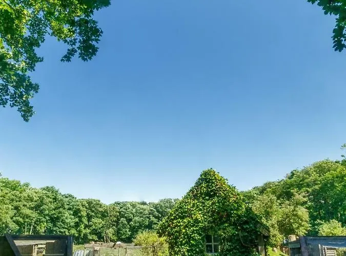 Country Camp camping de Kooiplaats