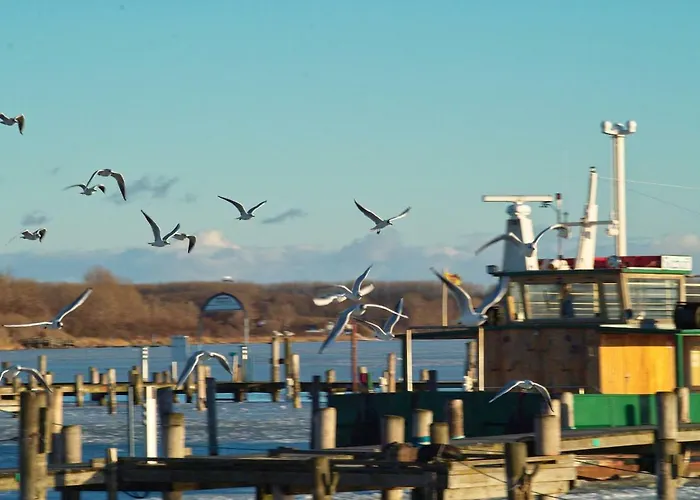 FeWo an der Ostsee Nr. 2