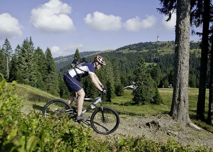 Apartment Jonifee Am Titisee