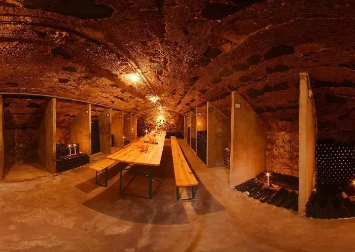 Hotel Weingut Schuetzen
