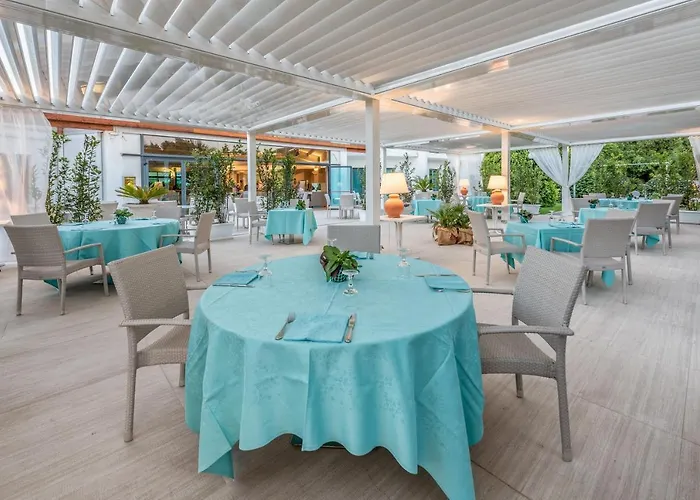Acacia Marina