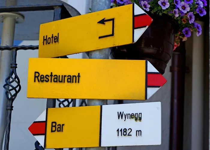 Hotel Wynegg