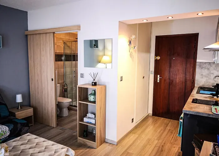 Léman Holidays - Appartement Hyper centre