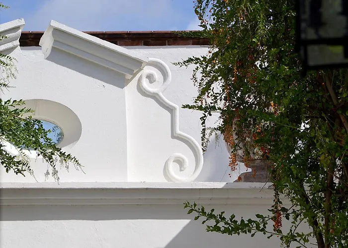 Casa De Los Olivos