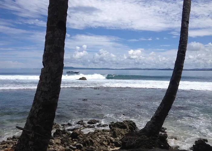 Masokut Surf Camp Siberut E"Bay 1 Minute Walking Beng-Beng 5 Minute Walking,Pitstop 10 Minute Walking Nipussy 1 Hour Walking Short Walking Only Minute Distances From Our Place