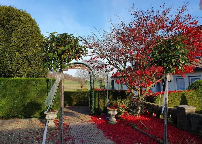 B&B Vouwere