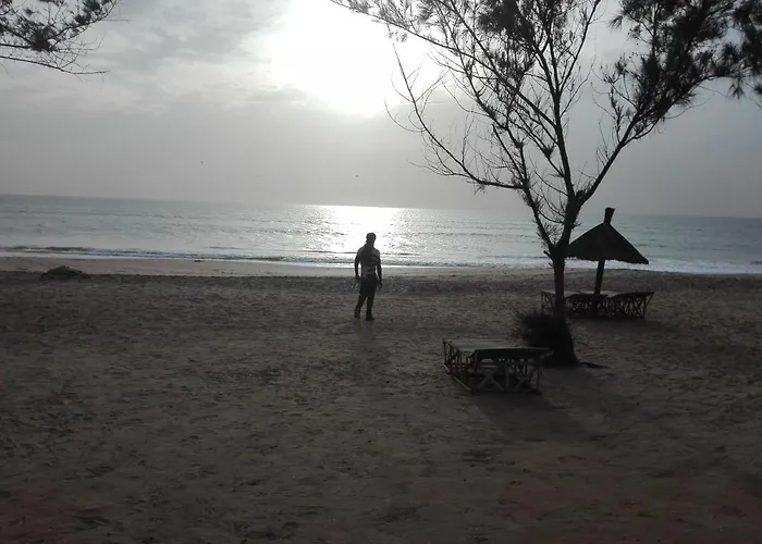 Chez Medzo Et Patou
