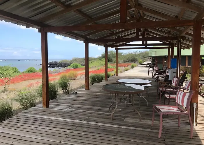 Lava Lodge