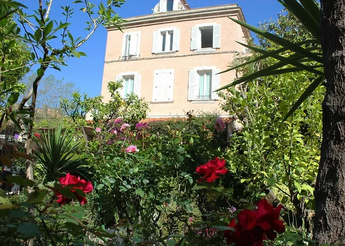 Hôtel Les Palmiers